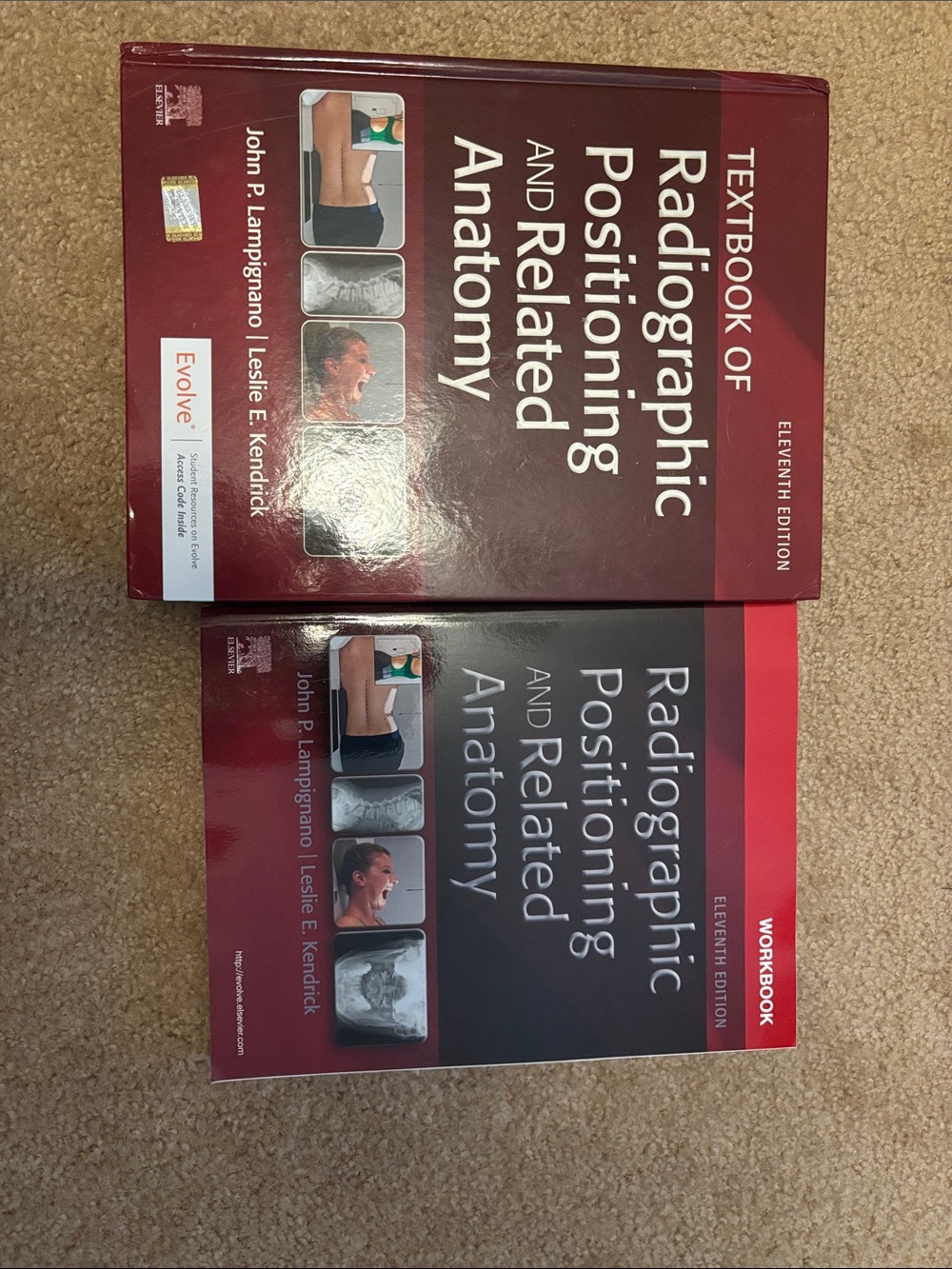 Radiographic Positioning and Related Anatomy Textbook & Workbook - Red